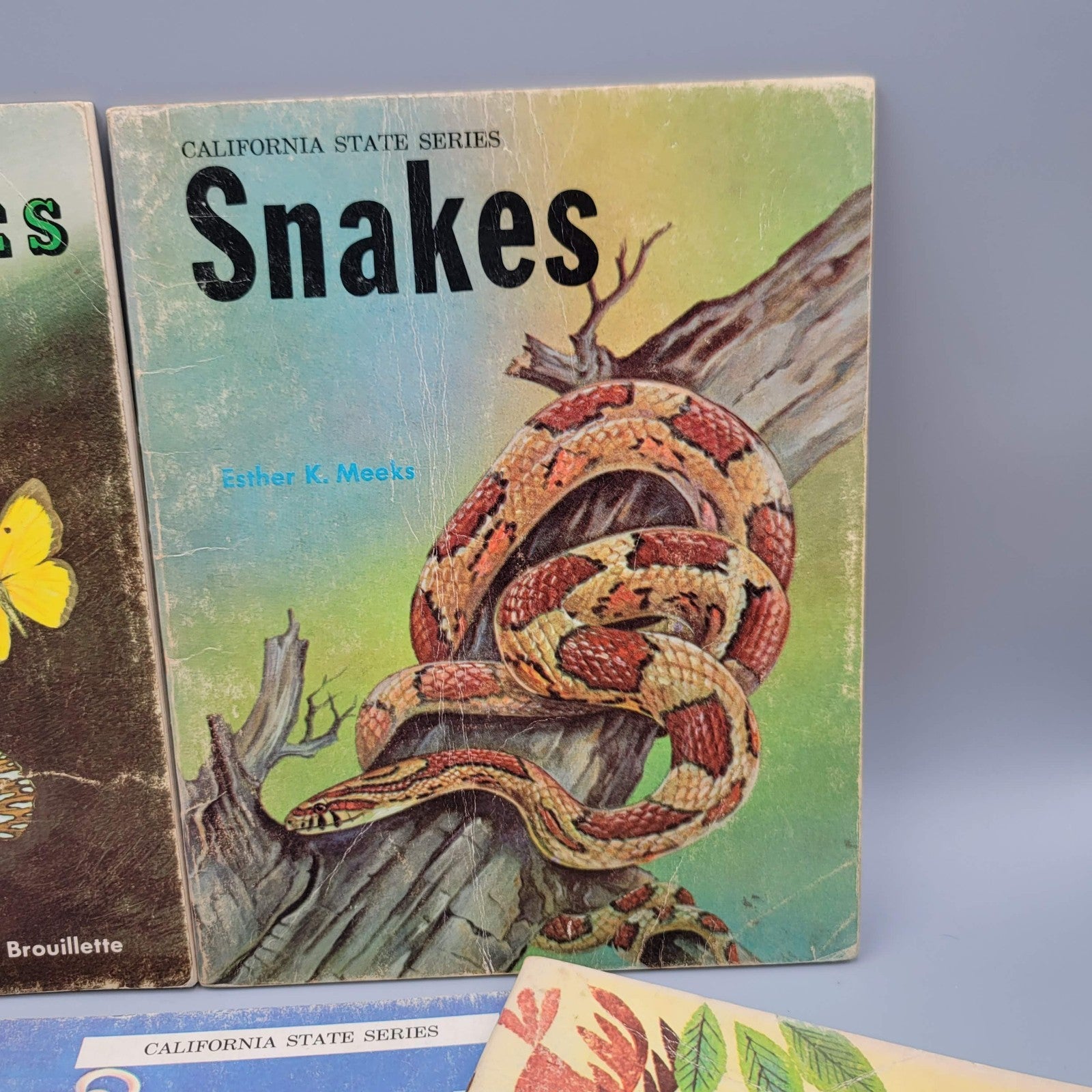 Vintage California State Series Textbook Book Lot  of 5