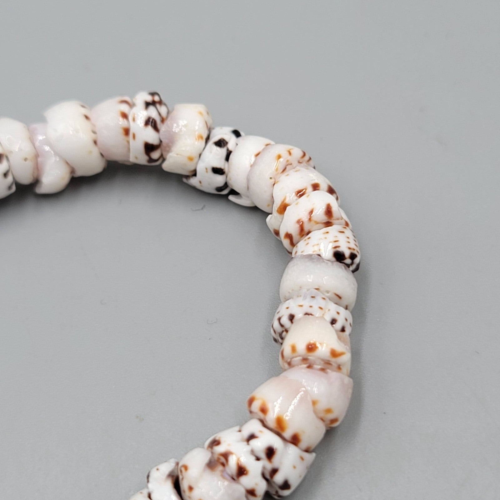 Real Authentic Shell Bracelet Elastic Brown White 6.5"