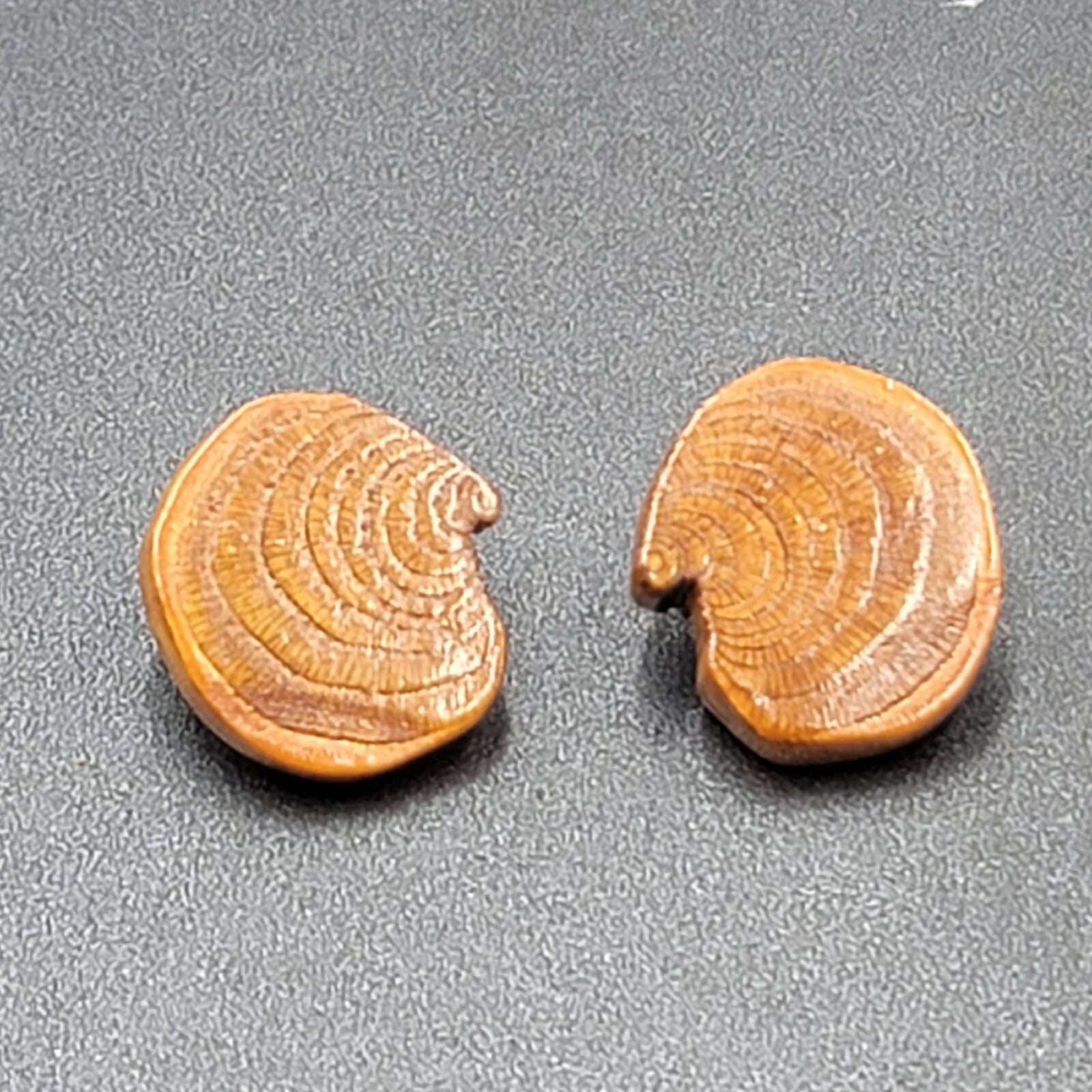 Vintage Clip on Earrings Real Wood Statement Drop 1.25"
