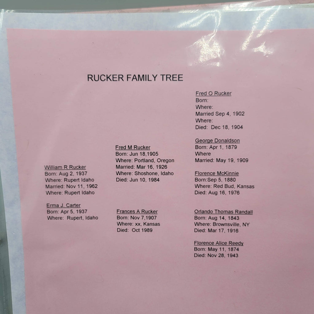 Vintage 1960s Photos in a Modern Scrapbook Rucker Family Tree 42 pages