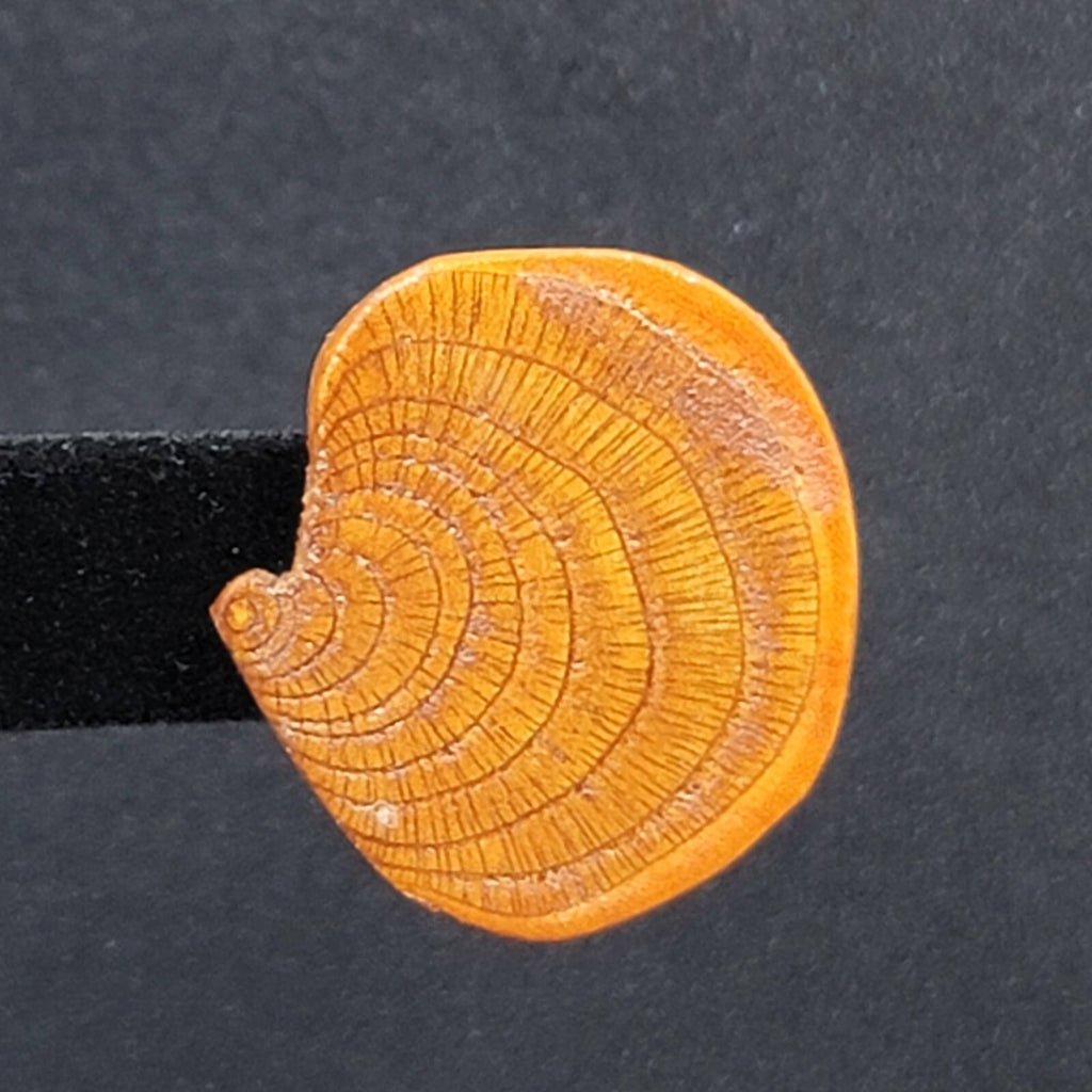 Vintage Clip on Earrings Real Wood Statement Drop 1.25"