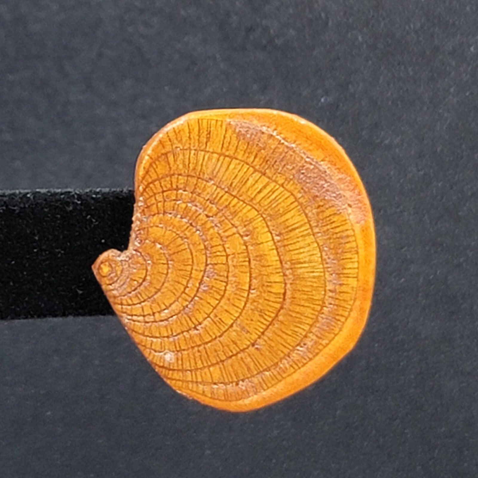 Vintage Clip on Earrings Real Wood Statement Drop 1.25"