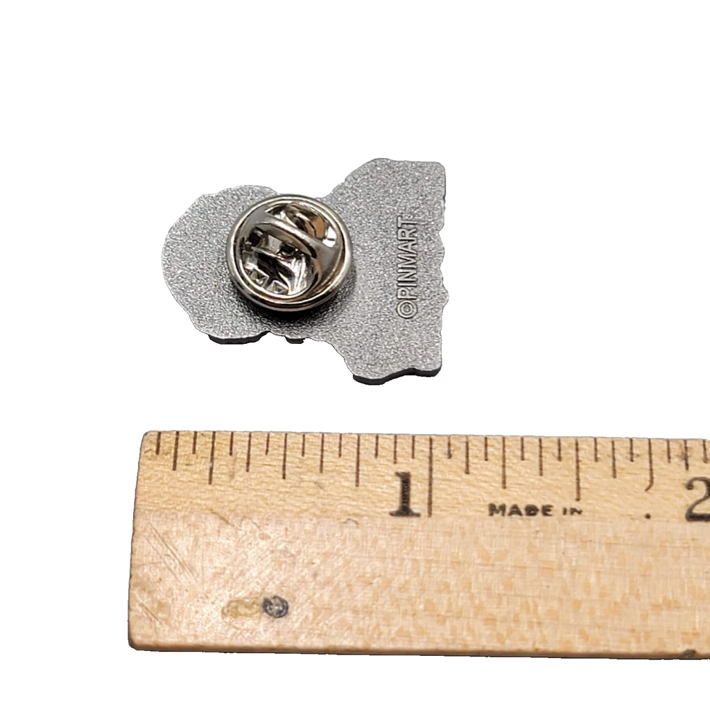 Charles Darwin Theory of Evolution Science Lapel Pin PinMart 1"