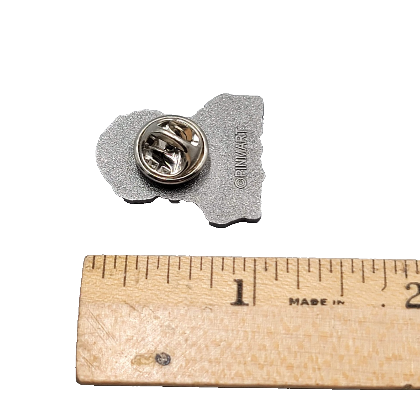 Charles Darwin Theory of Evolution Science Lapel Pin PinMart 1"