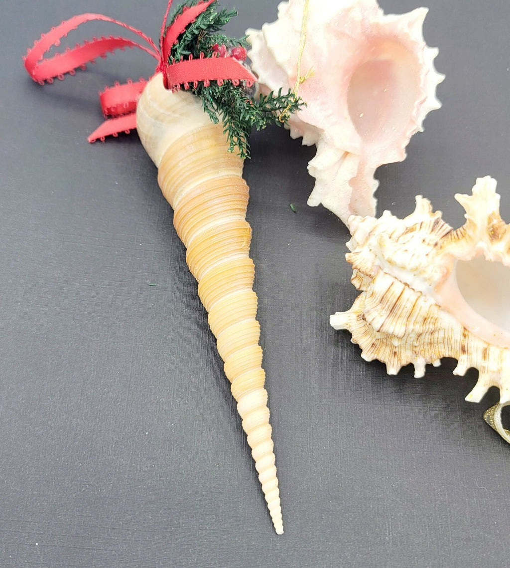 Sea Shell Christmas Ornaments Large Holiday White Glitter Lot of 3