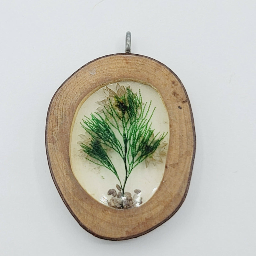 Vintage Oval Shaped Pendant Lucite Dried Flowers Wood Frame 