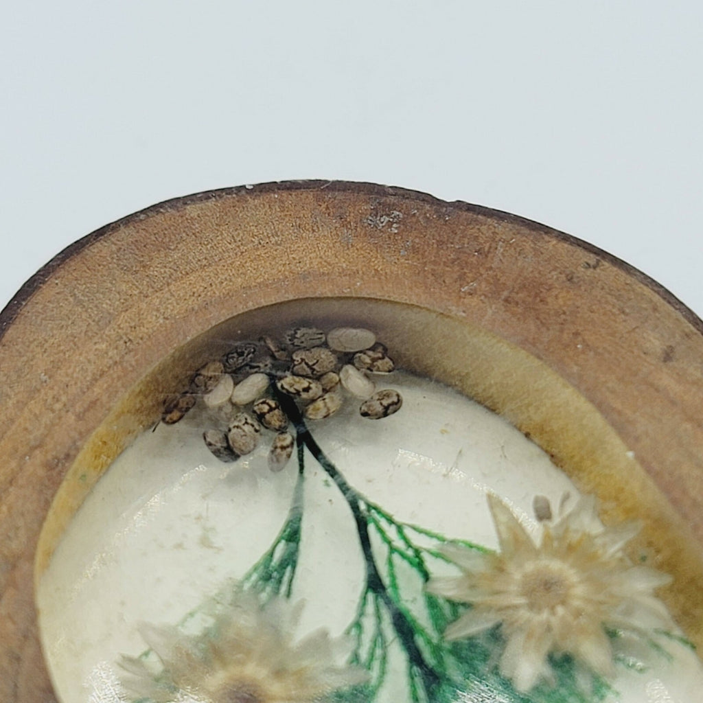 Vintage Oval Shaped Pendant Lucite Dried Flowers Wood Frame 