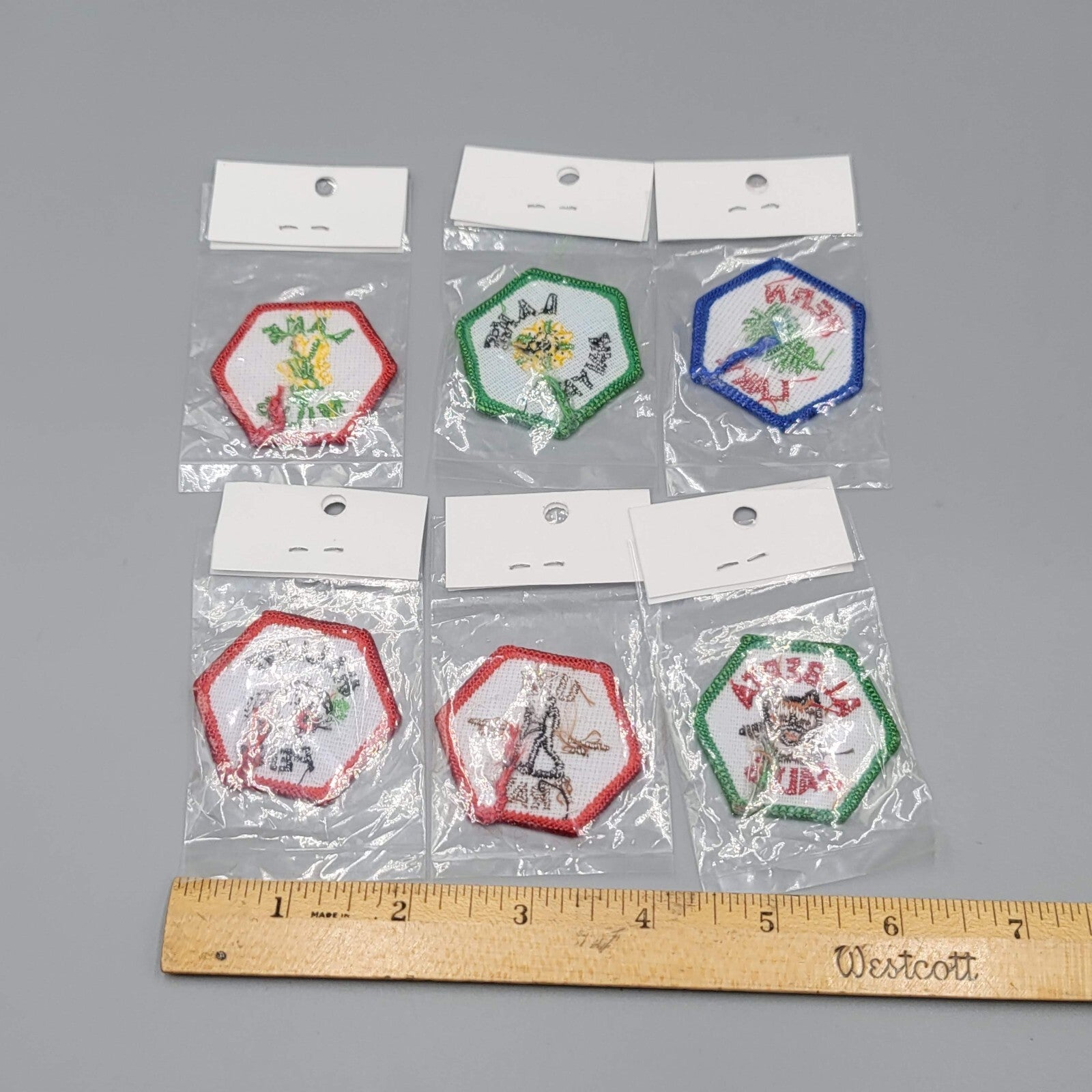 Trail Tags Embroidered Patch Lot of 6 Hallett Ute Haiyaha Mills Fern Lake Albert