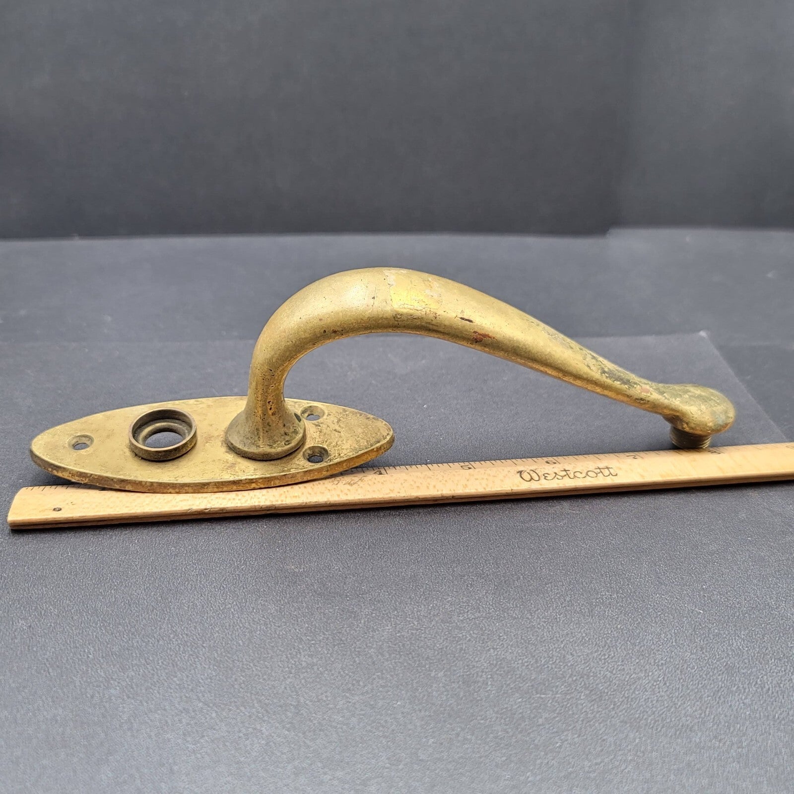 Vintage Rare Brass Door Pull Handle and Doorknob Rosette Salvage 8.25" total