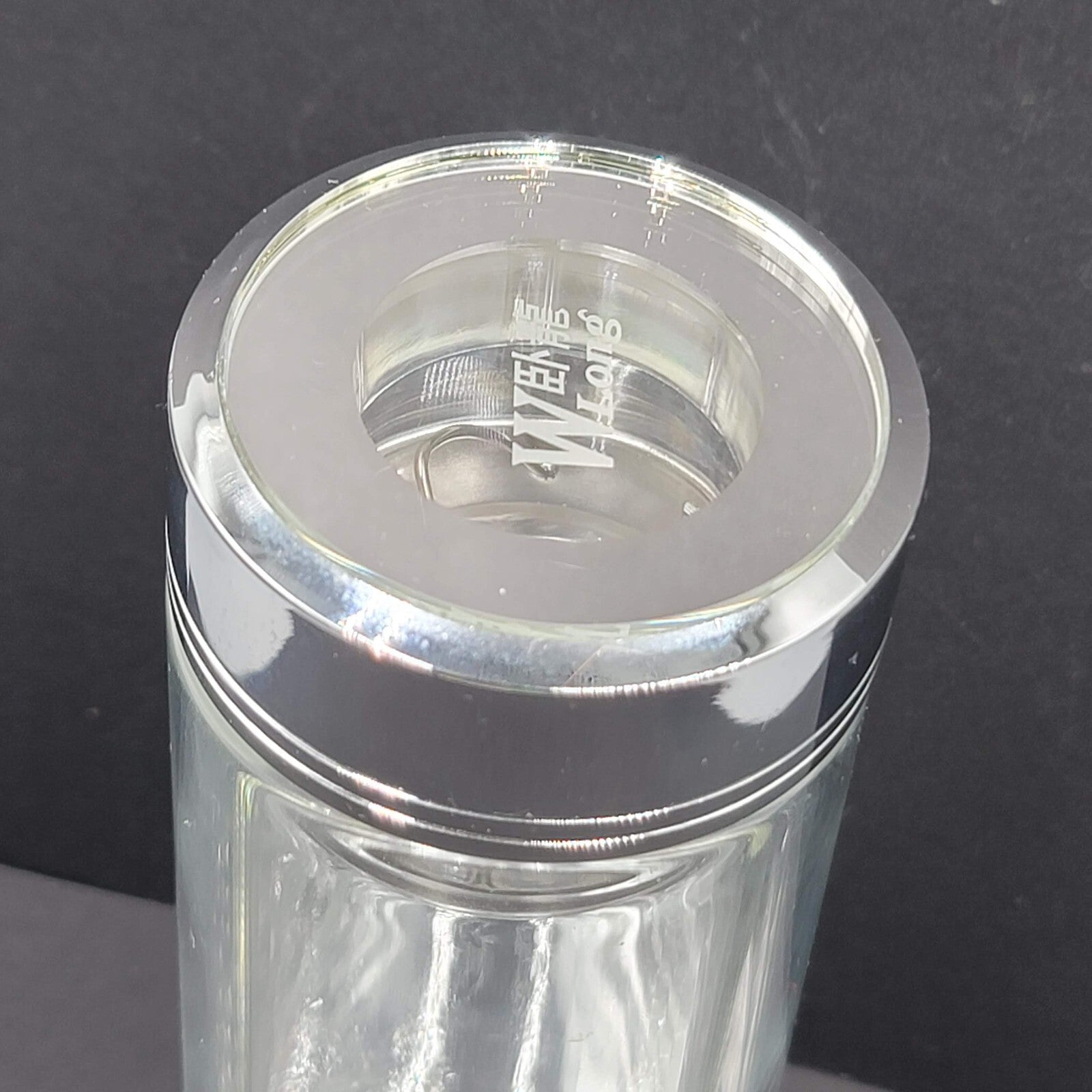 Wolong Glass Tea Infuser Bottle Double Wall Portable Tea Tumbler 460mL