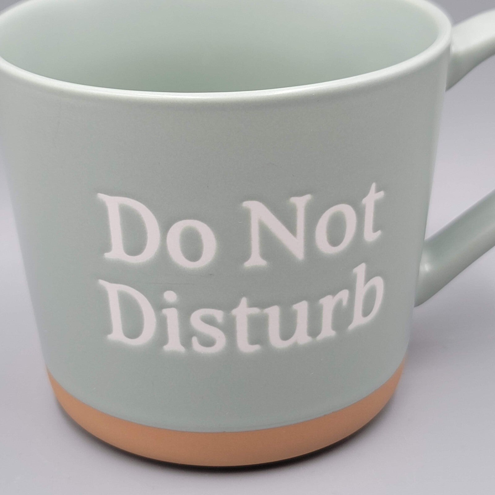 Do Not Disturb Coffee Mug Threshold Sage Green Large