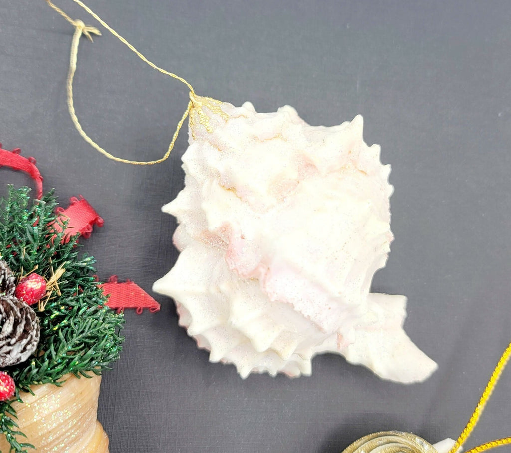 Sea Shell Christmas Ornaments Large Holiday White Glitter Lot of 3