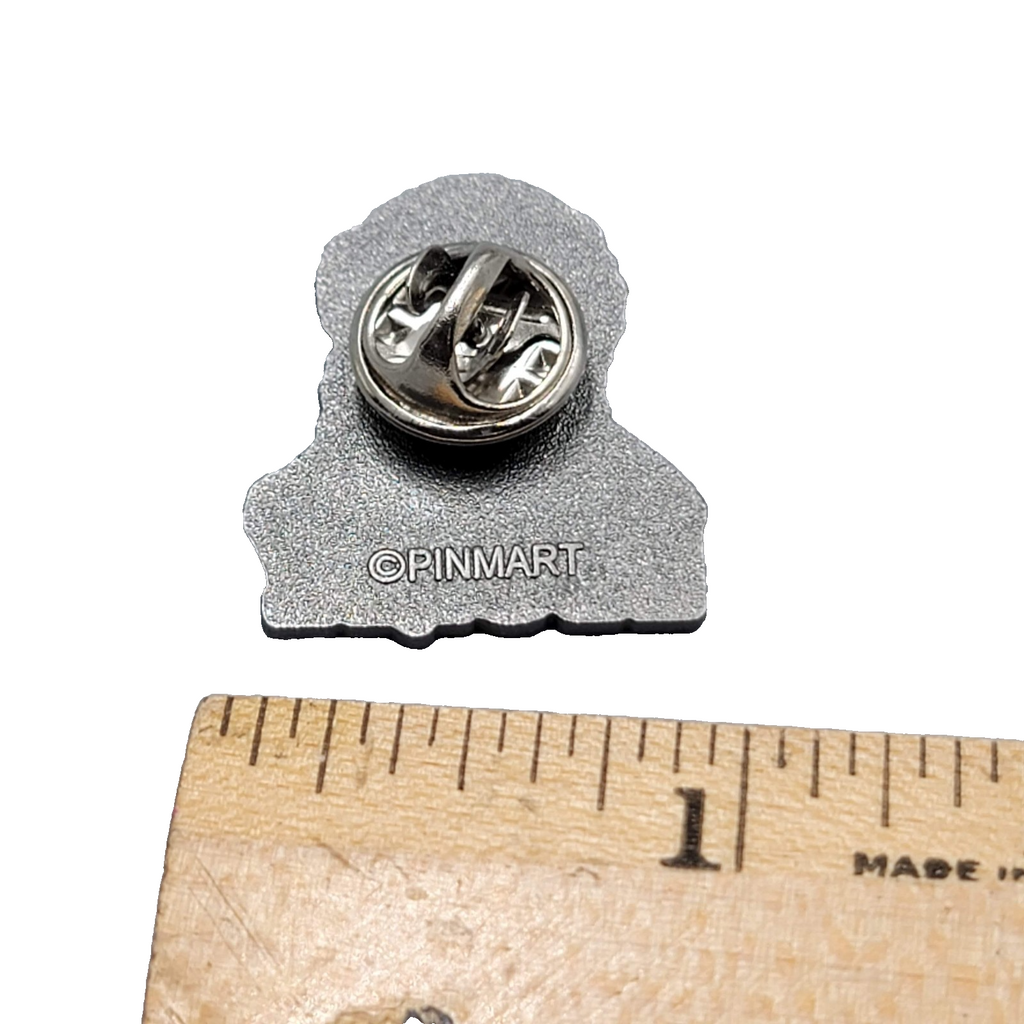 Charles Darwin Theory of Evolution Science Lapel Pin PinMart 1"