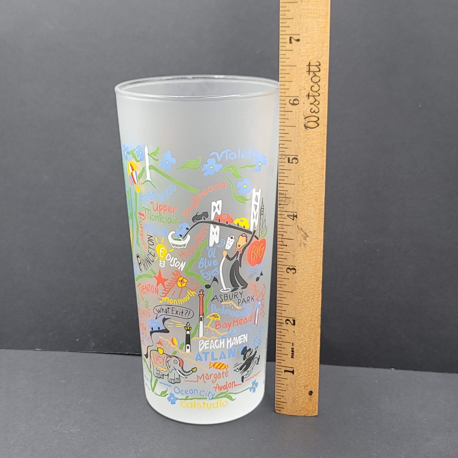 Cat Studio Geography New Jersey Frosted Drinking Glass Tumbler 6"