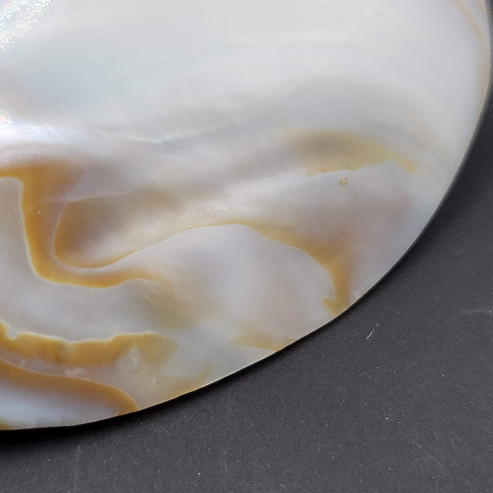 Vintage Large Sea Shell Belt Buckle Clip Mother of Pearl 4"x3"
