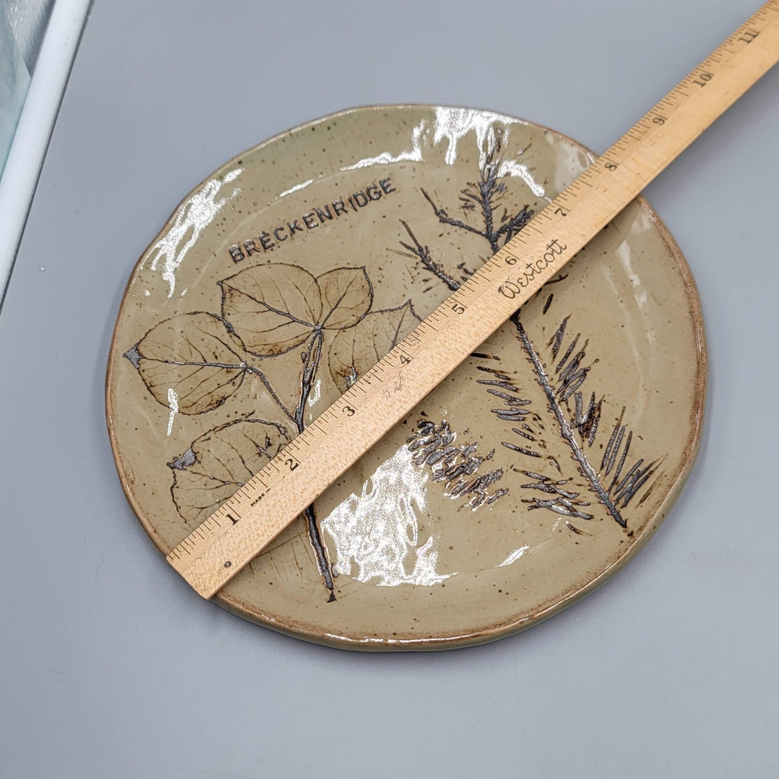 Chautauqua Souvenir Plate Colorado Artisan Pottery 8 in