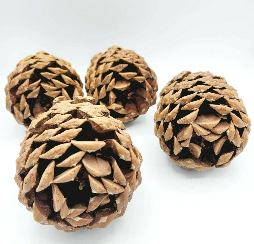 Lot of 4 Beautiful & Clean Pinecone 6" For Decor Everyday Holiday Christmas