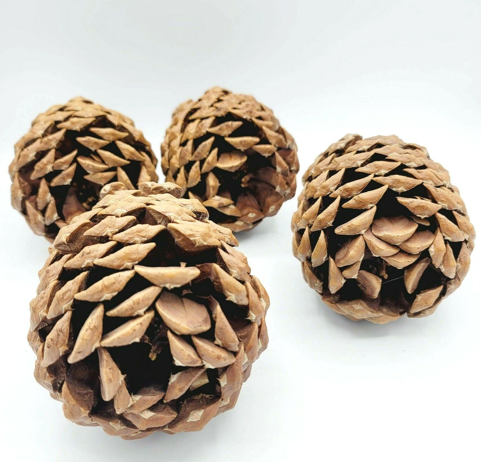 Lot of 4 Beautiful & Clean Pinecone 6" For Decor Everyday Holiday Christmas