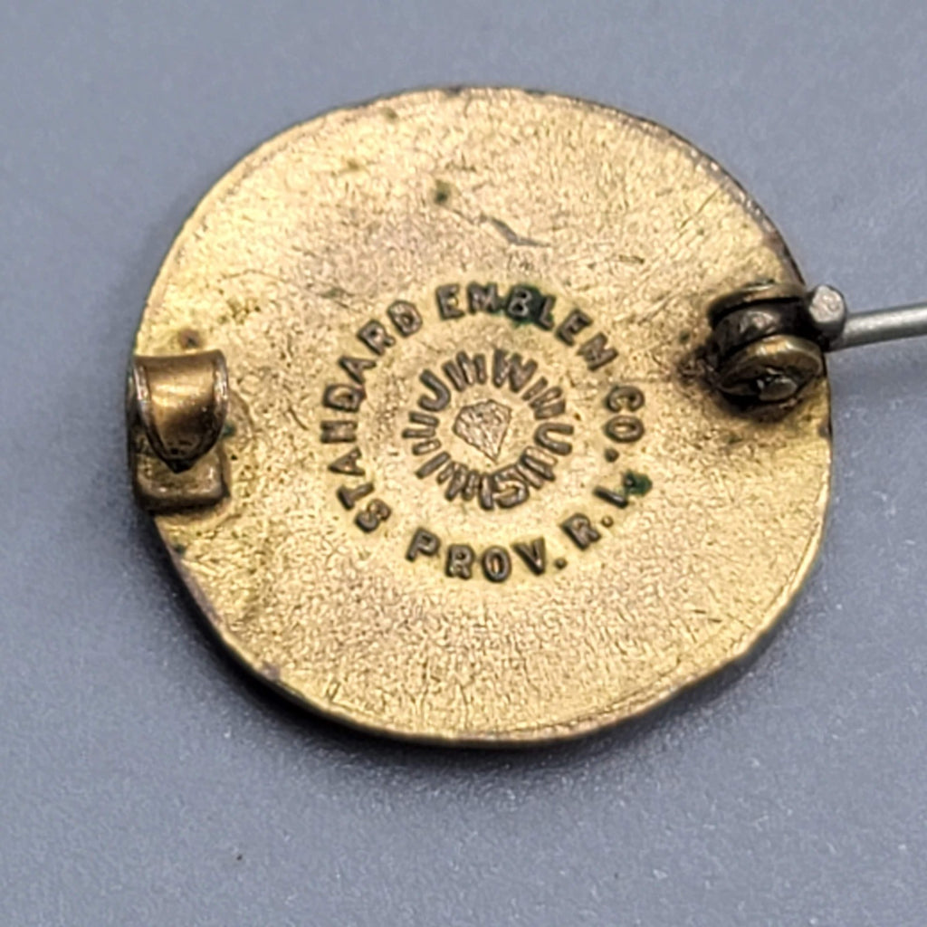 Vintage Theodore Roosevelt Memorial Association Womens Service Pin 1920s WRMA
