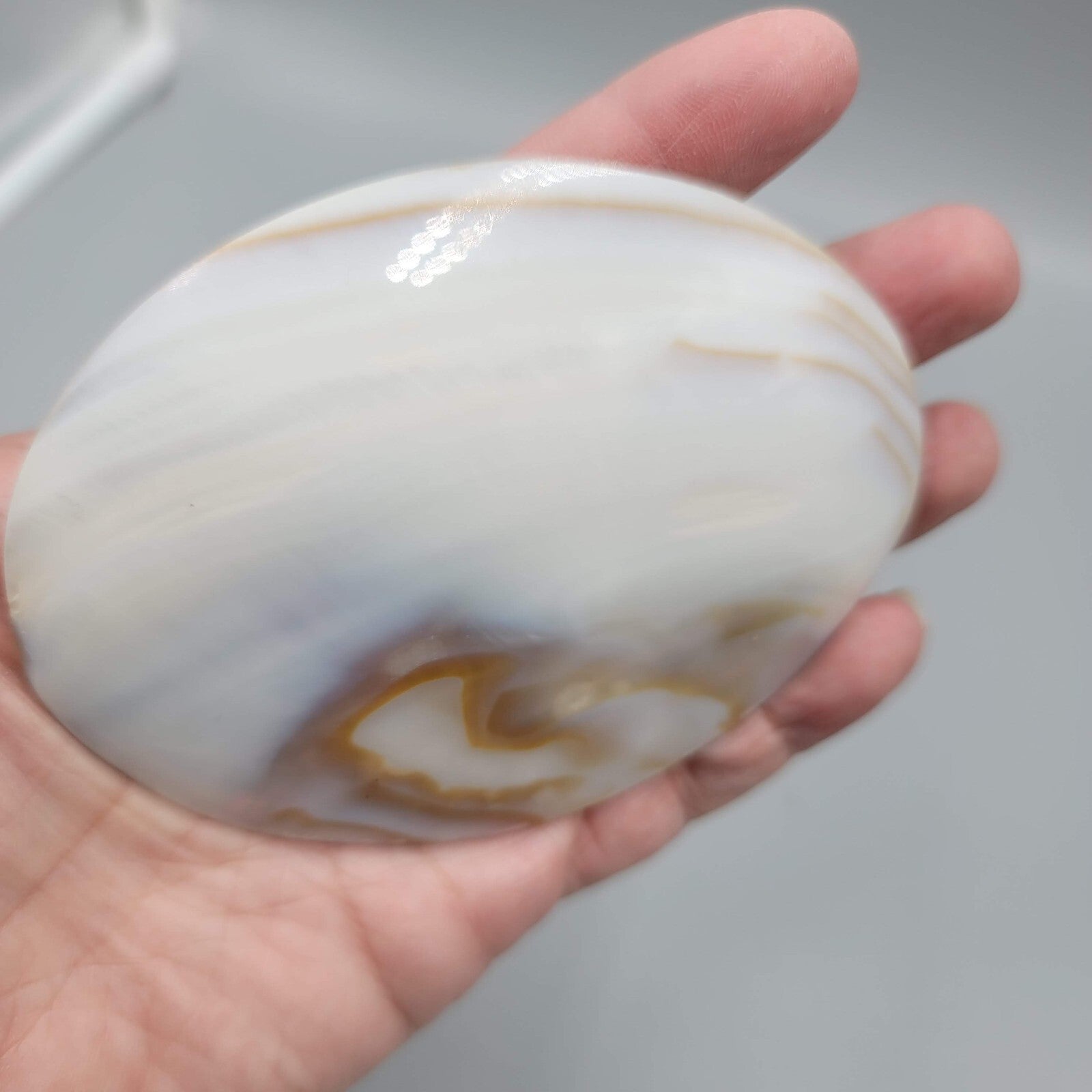 Vintage Large Sea Shell Belt Buckle Clip Mother of Pearl 4"x3"
