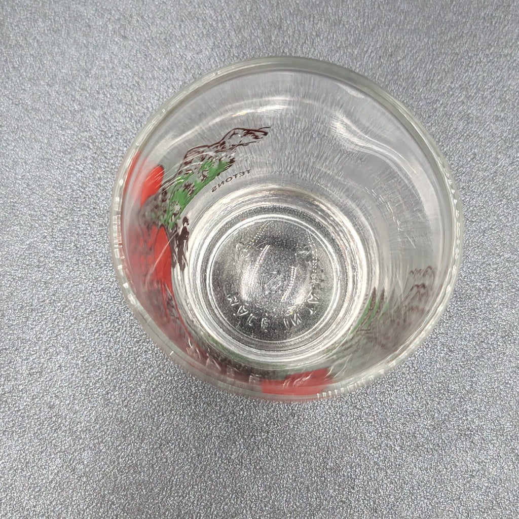 Vintage Wyoming Enamel Embossed Shot Glass USA Souvenir