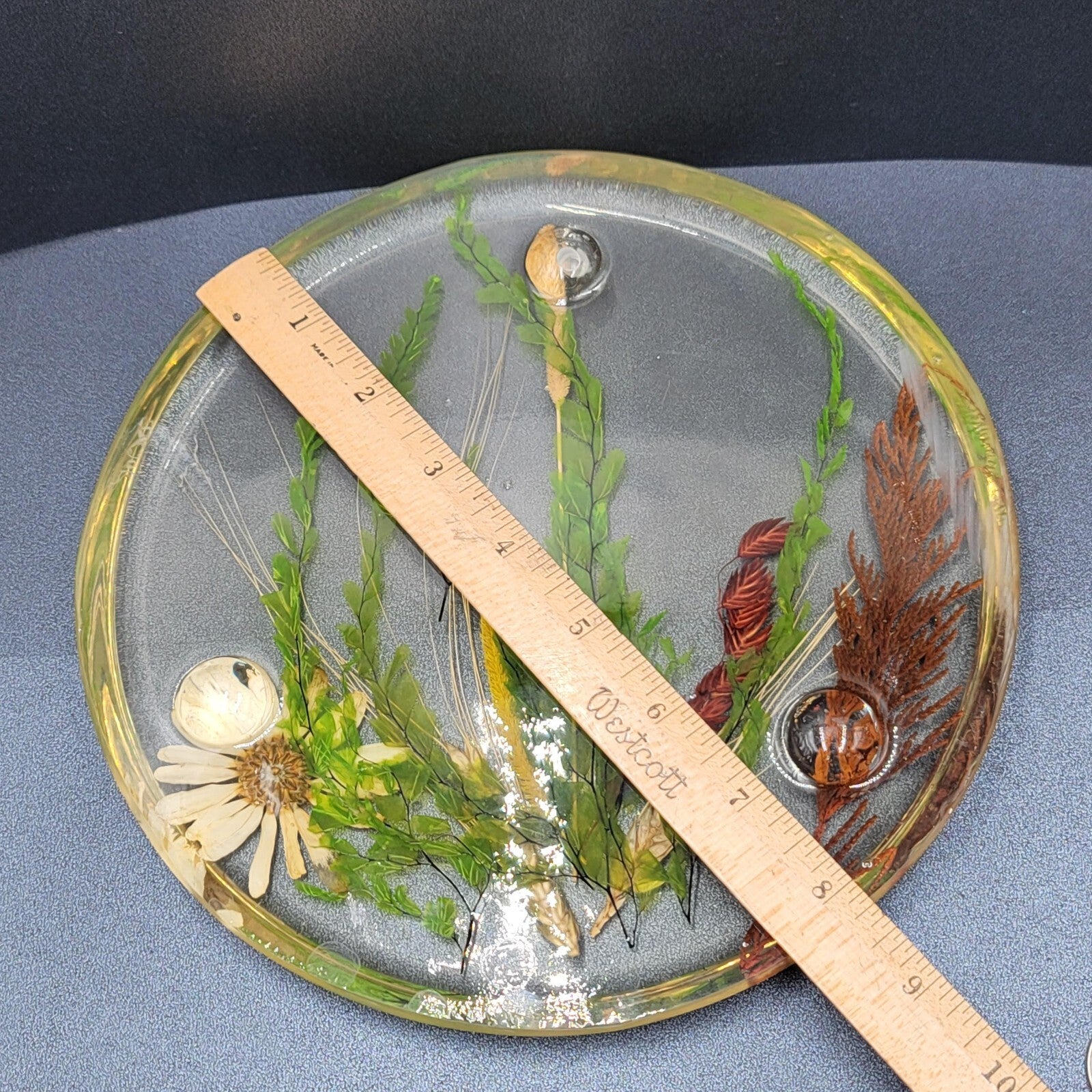 Vintage MCM Lucite Resin Dried Flower Round Footed Trivet 8 in