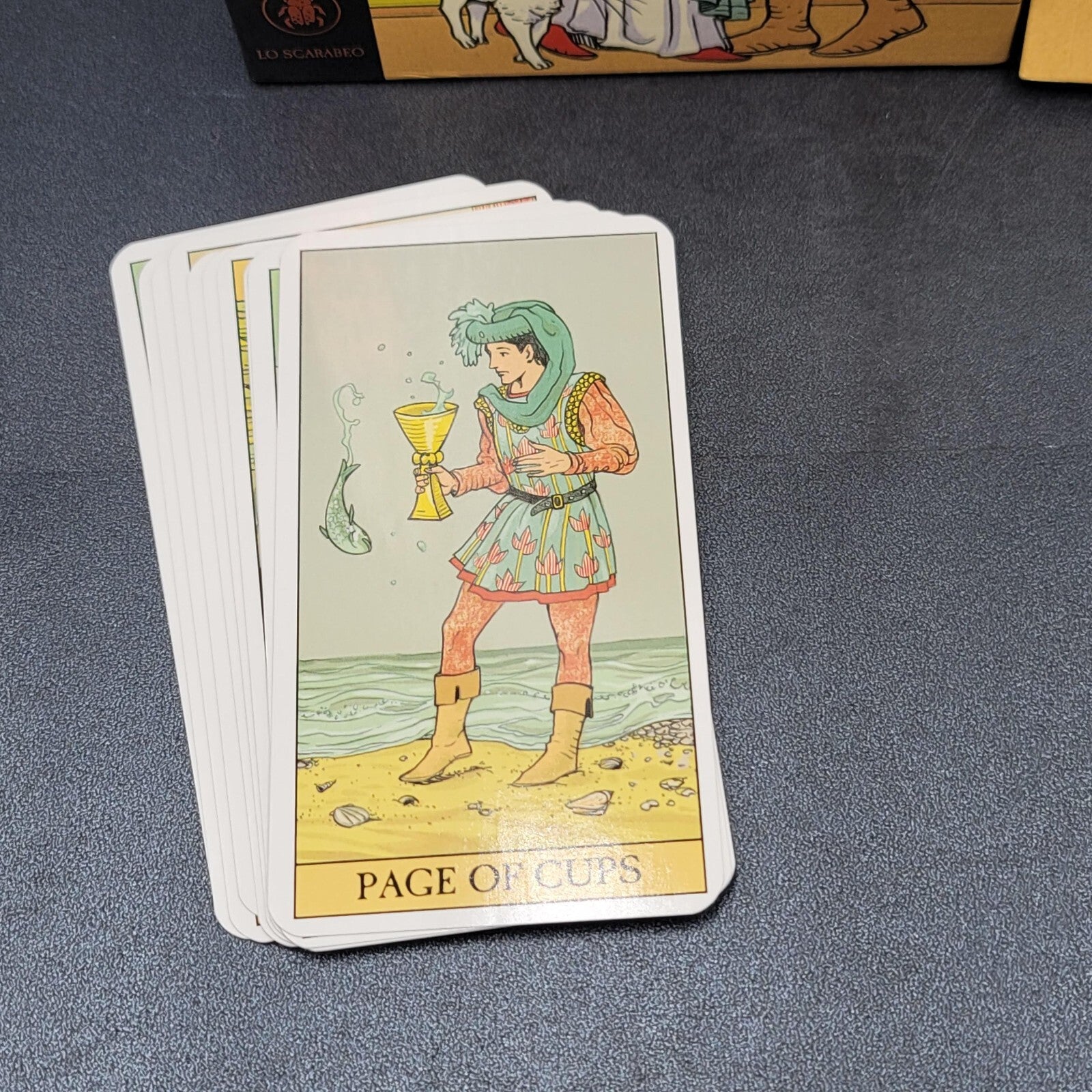 After Tarot Deck Companion Guidebook by Corrine Kenner Boxed Kit Made in Italy