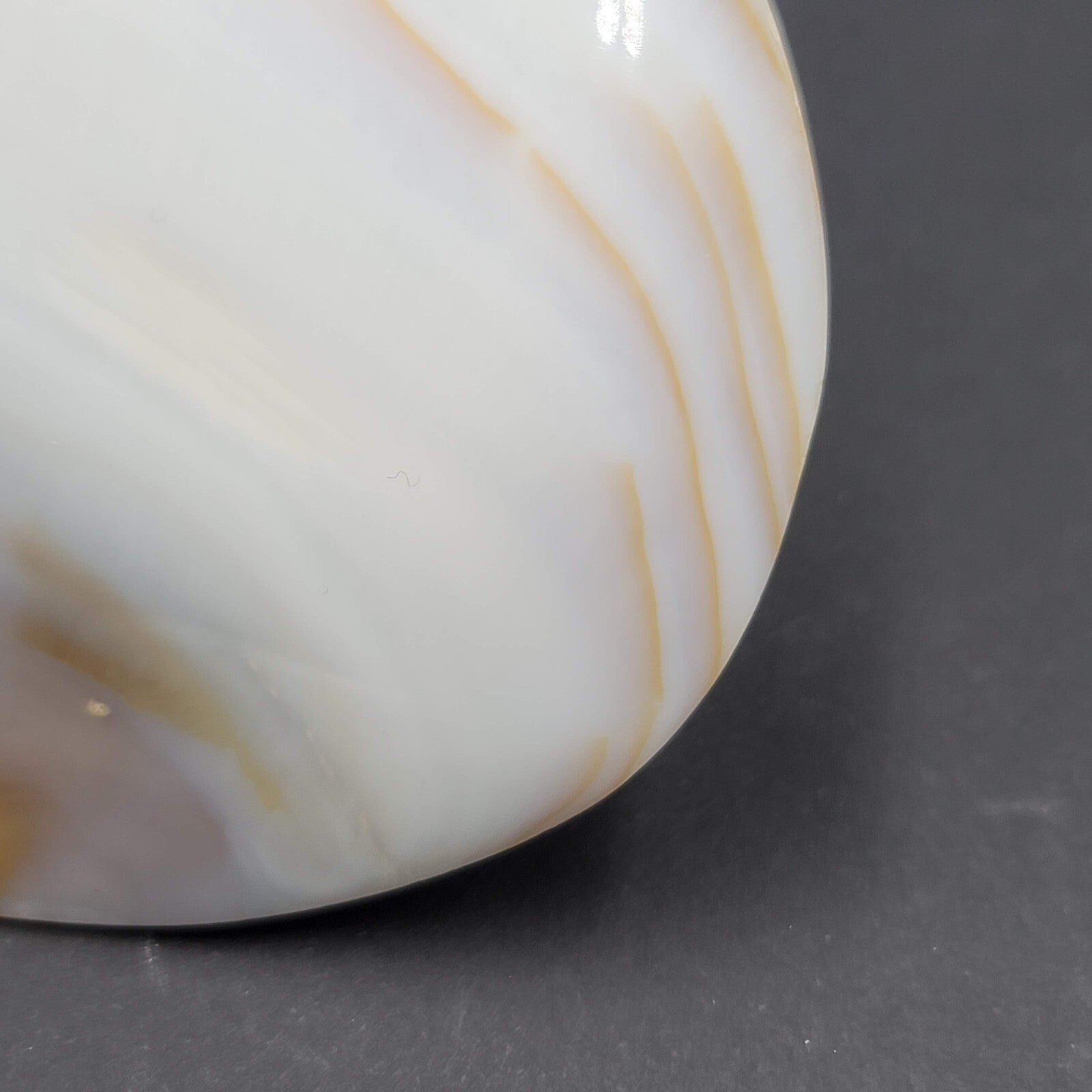 Vintage Large Sea Shell Belt Buckle Clip Mother of Pearl 4"x3"
