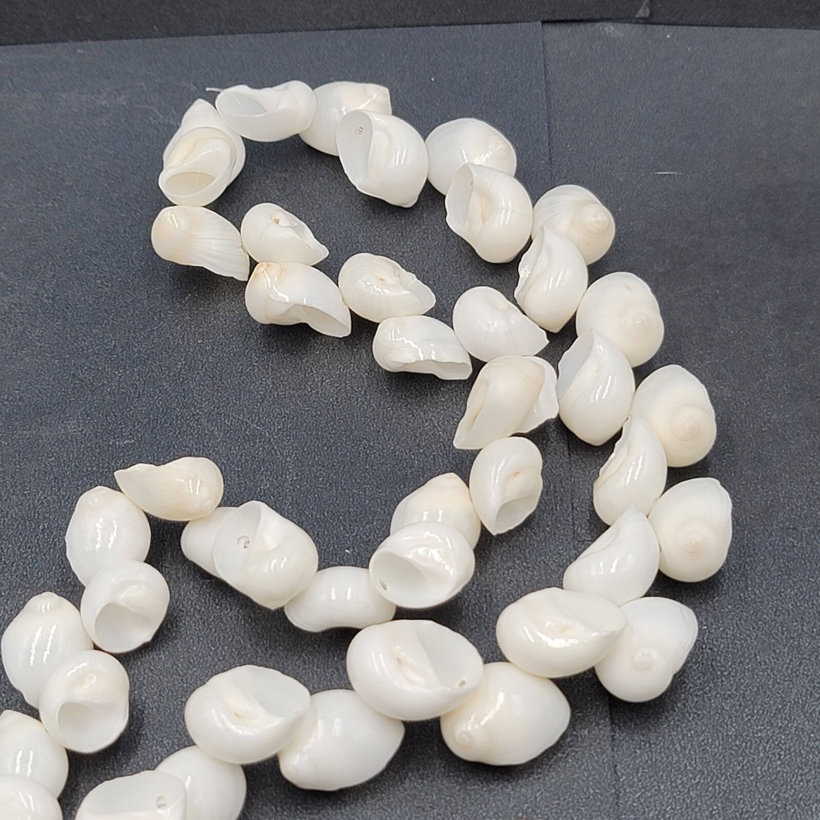 Vintage White Sea Shell Necklace Bracelet Clip Screw Back Earring Set