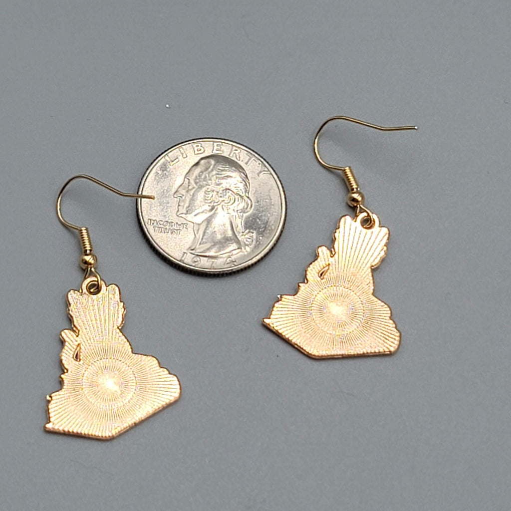 Black Cat Purple Books Pierced Earrings Enamel Gold tone Dangle New 1"