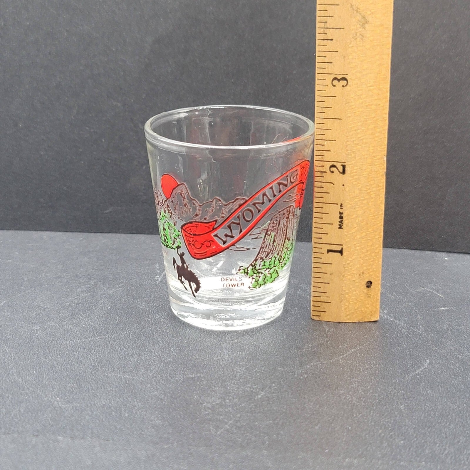 Vintage Wyoming Enamel Embossed Shot Glass USA Souvenir