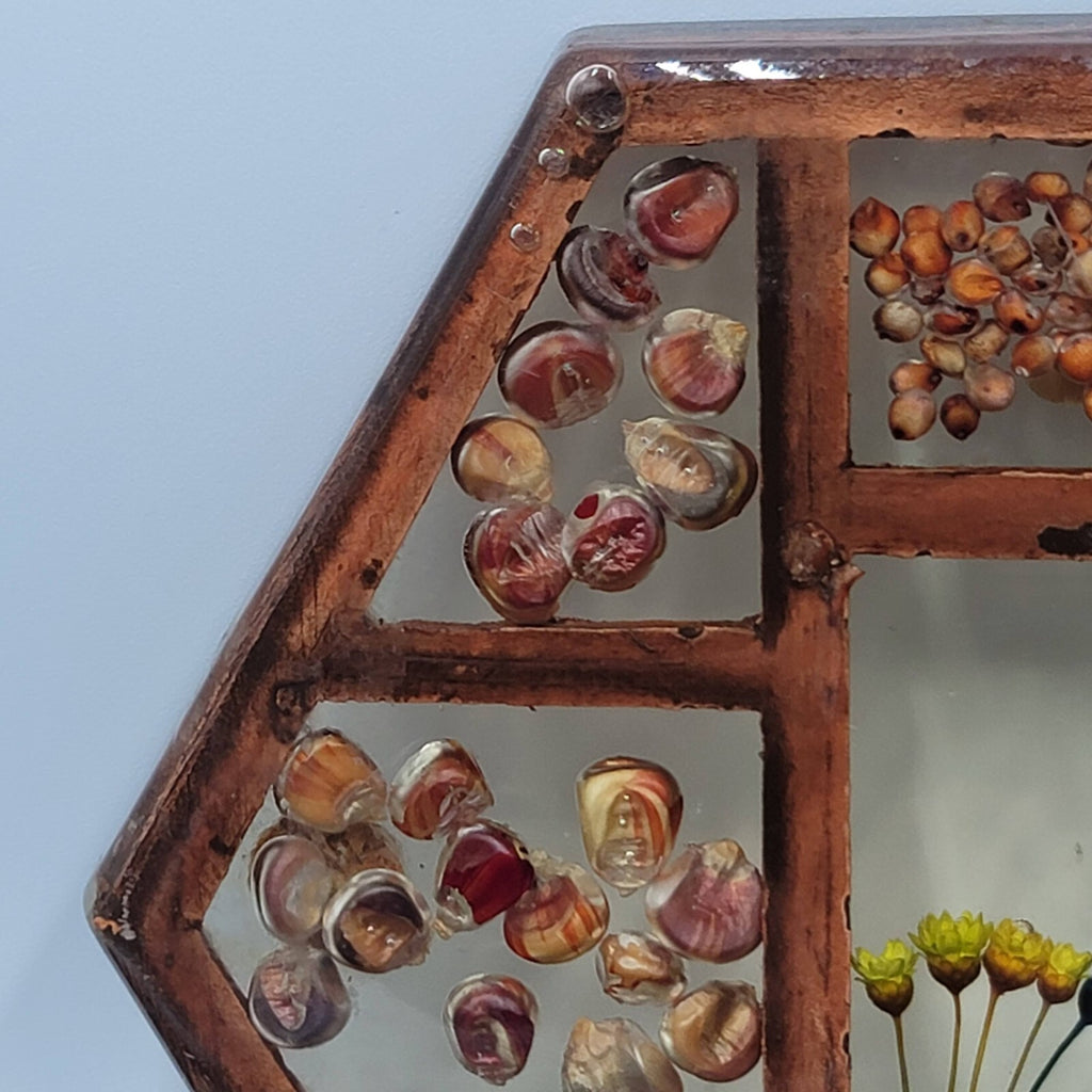 Vintage Gamut Designs Trivet Dried Flowers Seeds Boho Mid Century Hexagon 5.5"