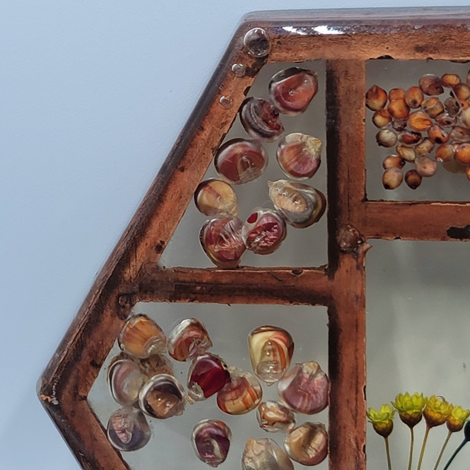 Vintage Gamut Designs Trivet Dried Flowers Seeds Boho Mid Century Hexagon 5.5"