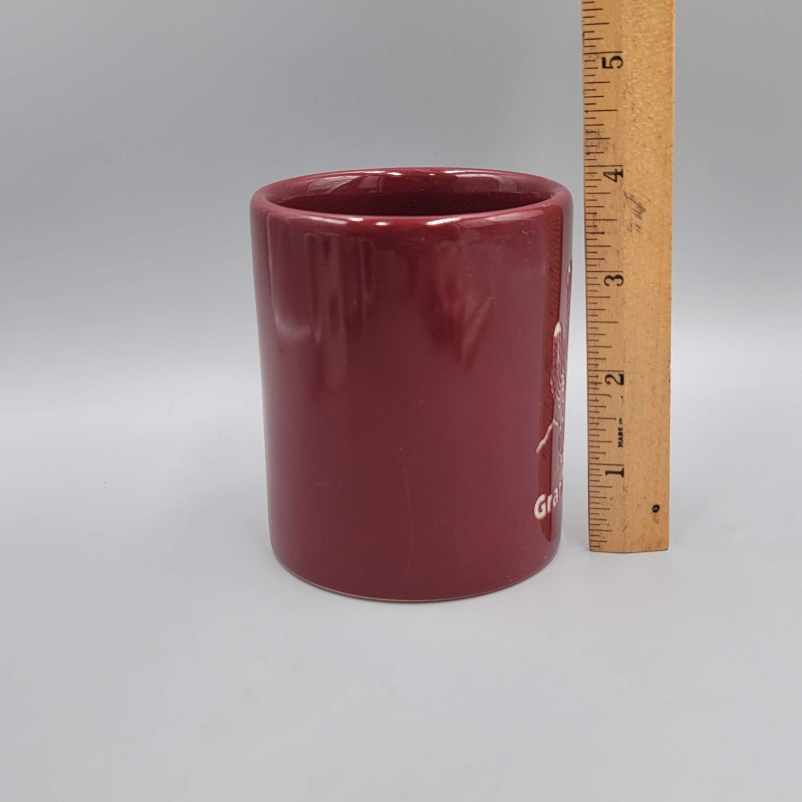 Grand Canyon Coffee Mug Souvenir Red Etched Design Made in USA