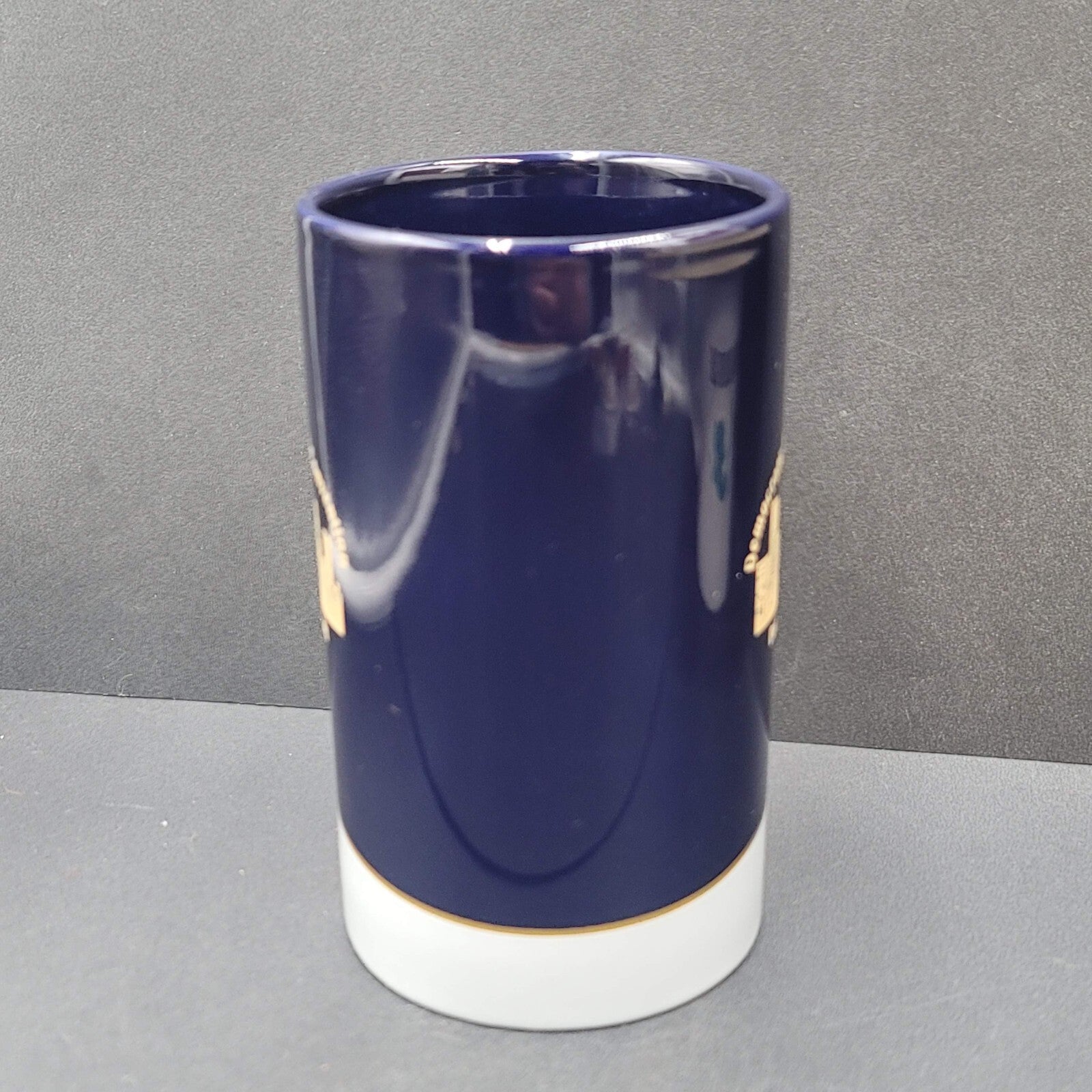 Democratic National Convention Denver 2008 Coffee Mug Blue Gray