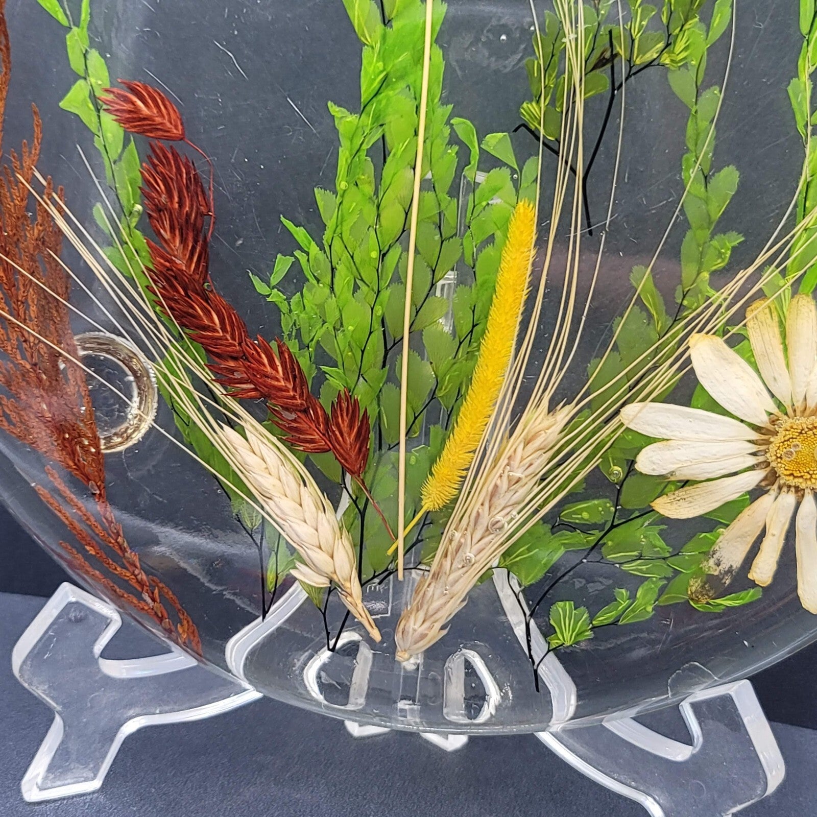 Vintage MCM Lucite Resin Dried Flower Round Footed Trivet 8 in