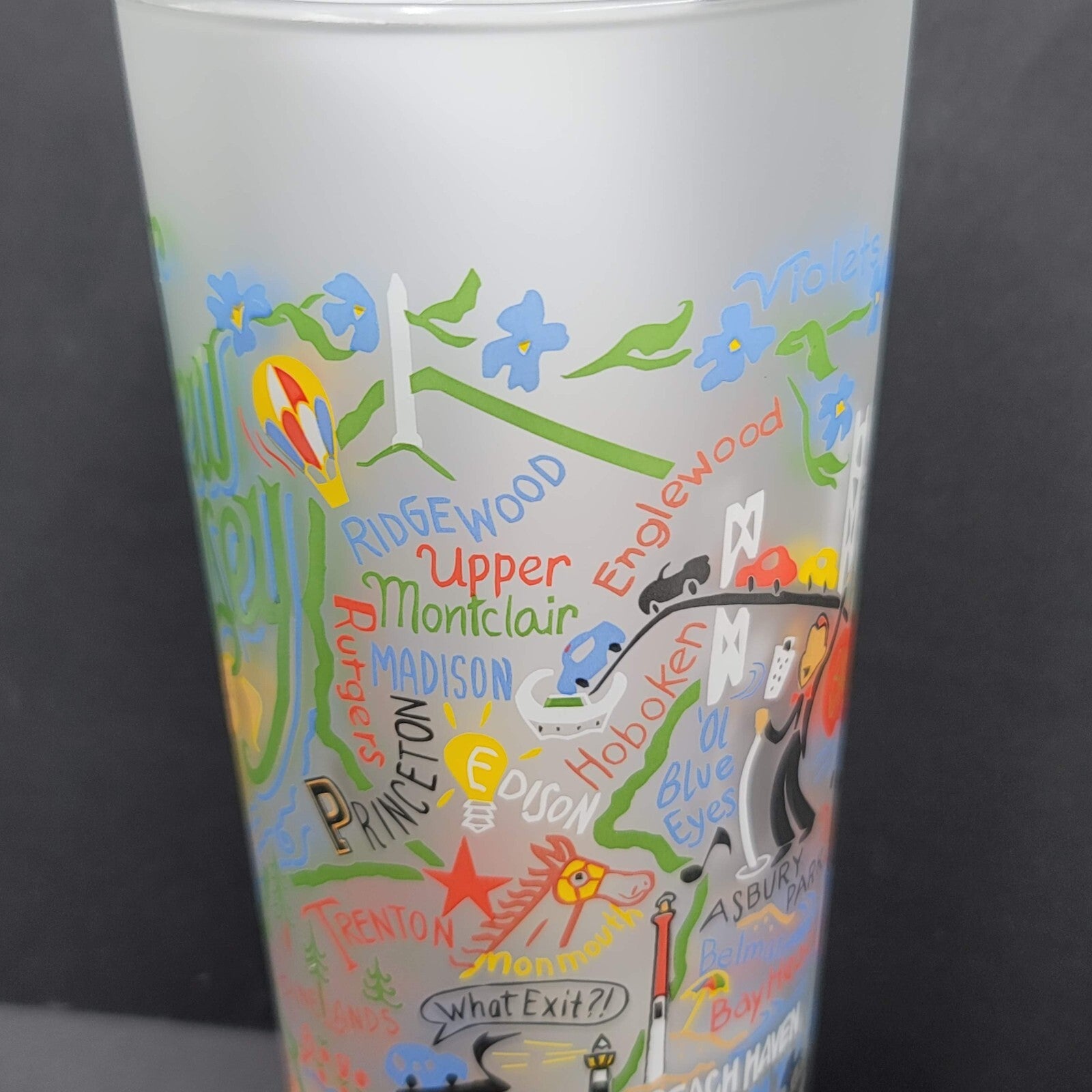 Cat Studio Geography New Jersey Frosted Drinking Glass Tumbler 6"