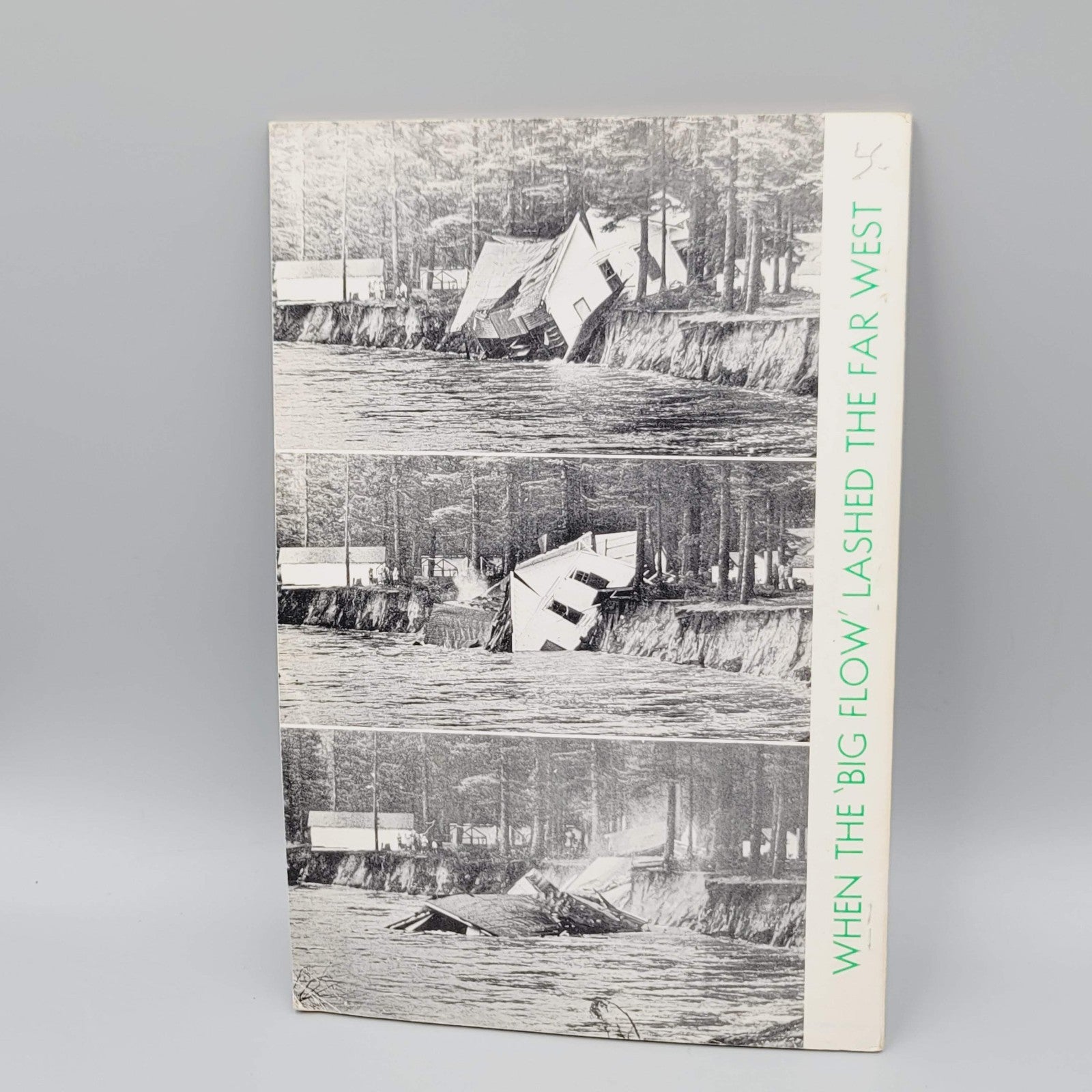 Wild Water by Ellis Lucia Vintage 1965 The Christmas Week Floods