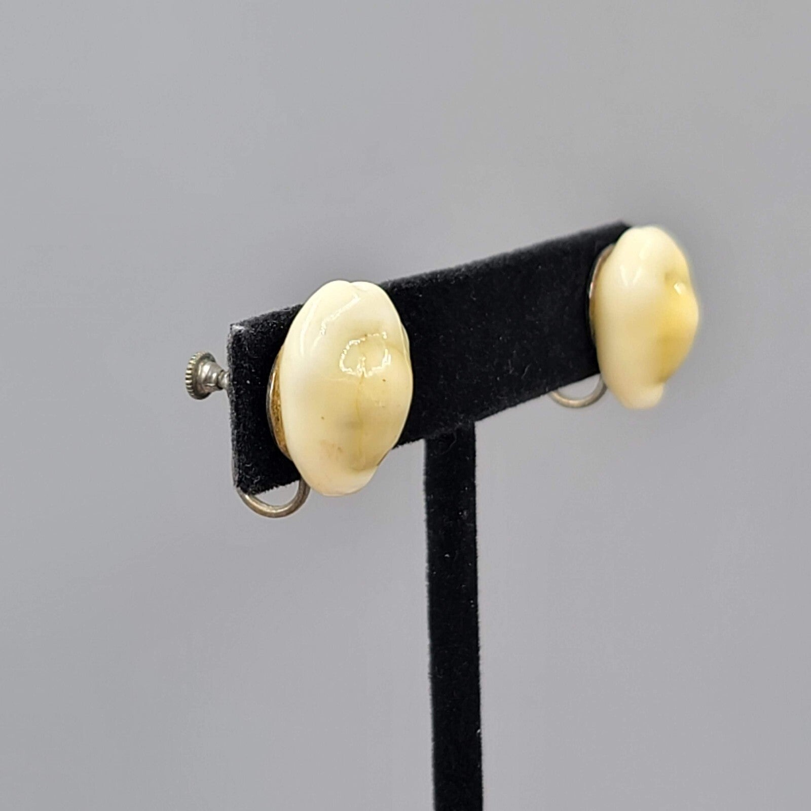 Vintage Cowrie Shell Clip on Earrings Studs 5/8"