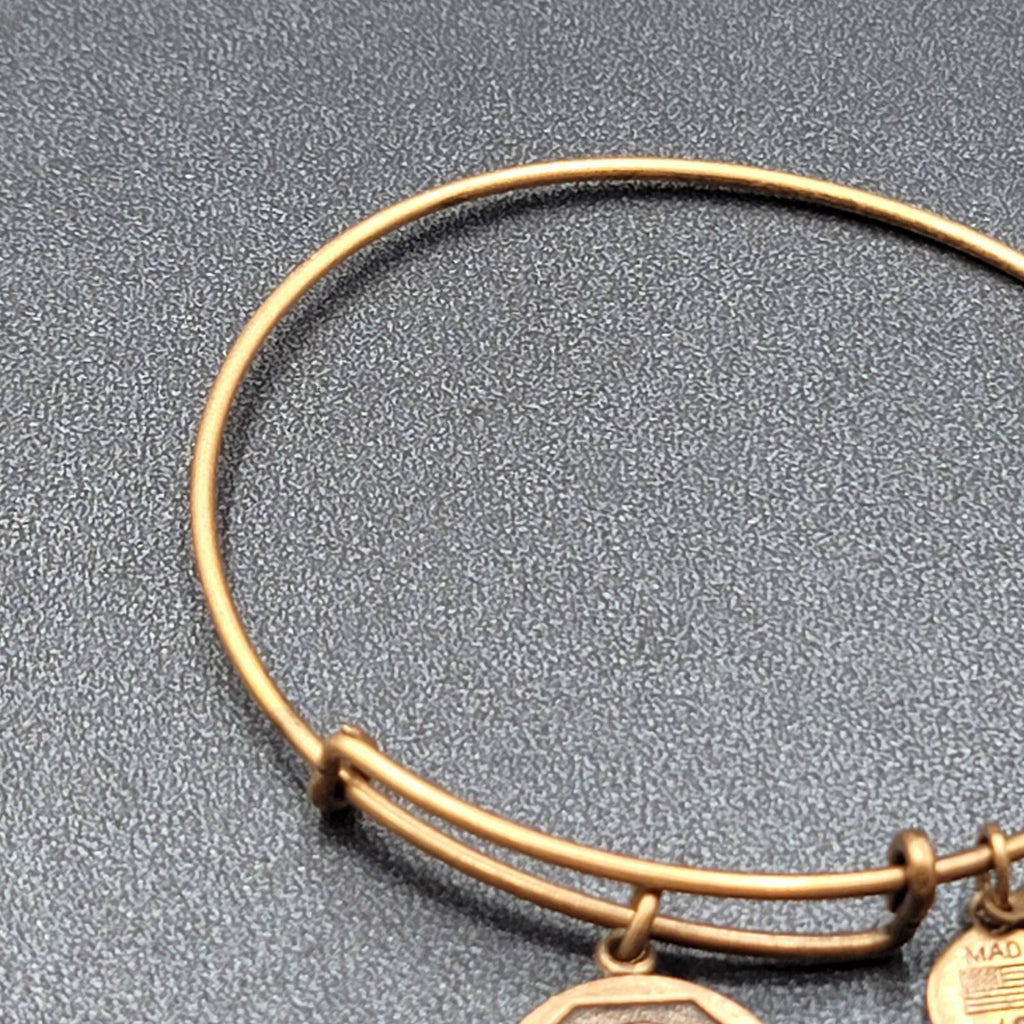 Alex and Ani Charm Bracelet Lot Monogram G Gold tone