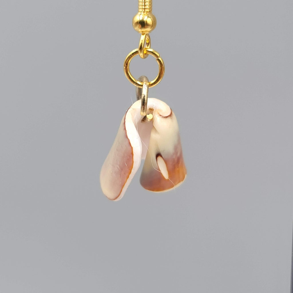 Real Shell Pierced Earrings Gold tone Dangle 3/4"