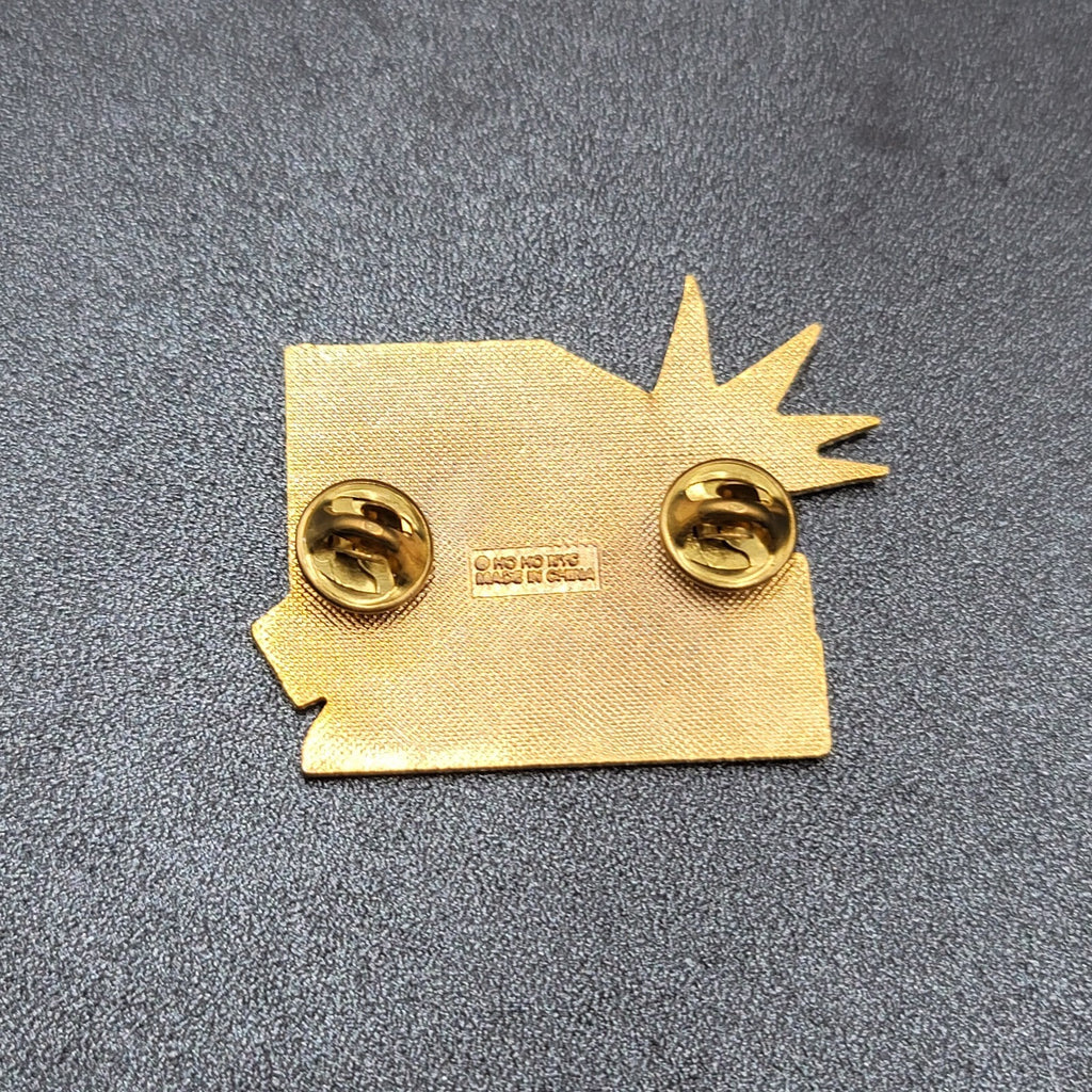 Lions Club Pin District 20 New York Bermuda 1998 Birmingham England Liberty