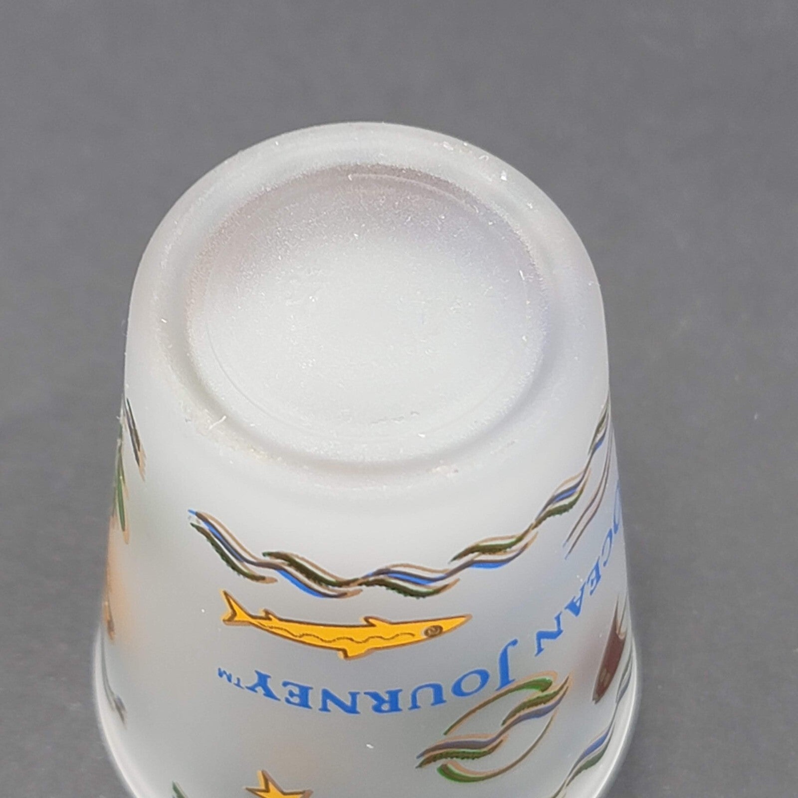 Ocean Journey Shot glass Souvenir Denver Colorado