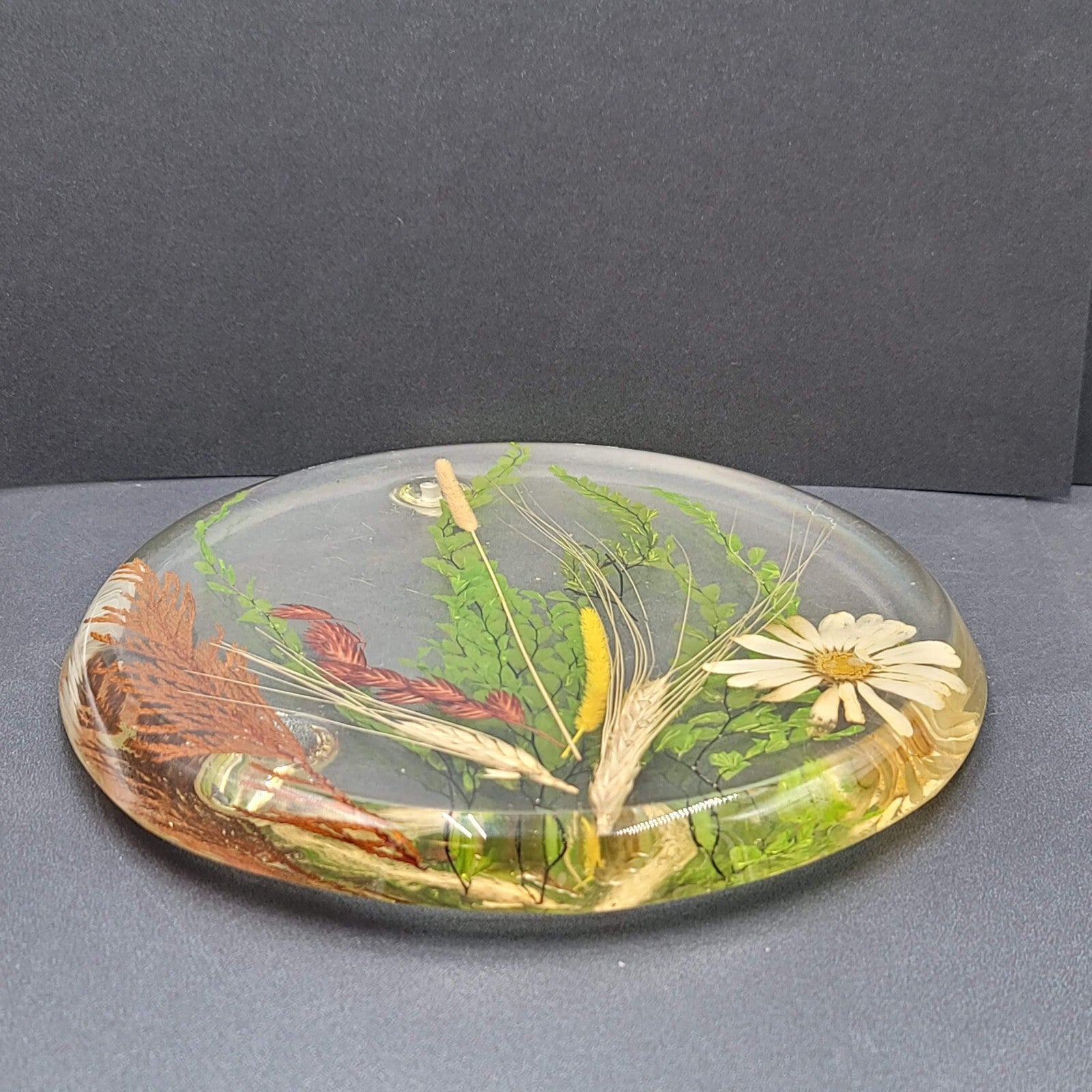 Vintage MCM Lucite Resin Dried Flower Round Footed Trivet 8 in