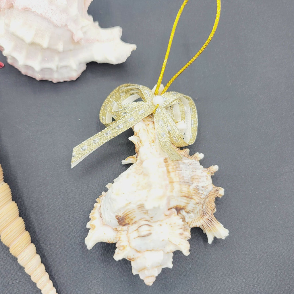 Sea Shell Christmas Ornaments Large Holiday White Glitter Lot of 3