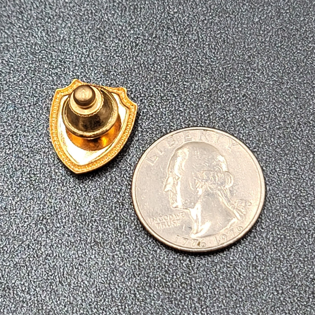 Vintage Celebration Cruise Lines Lapel Pin Gold tone Shield 3/4"