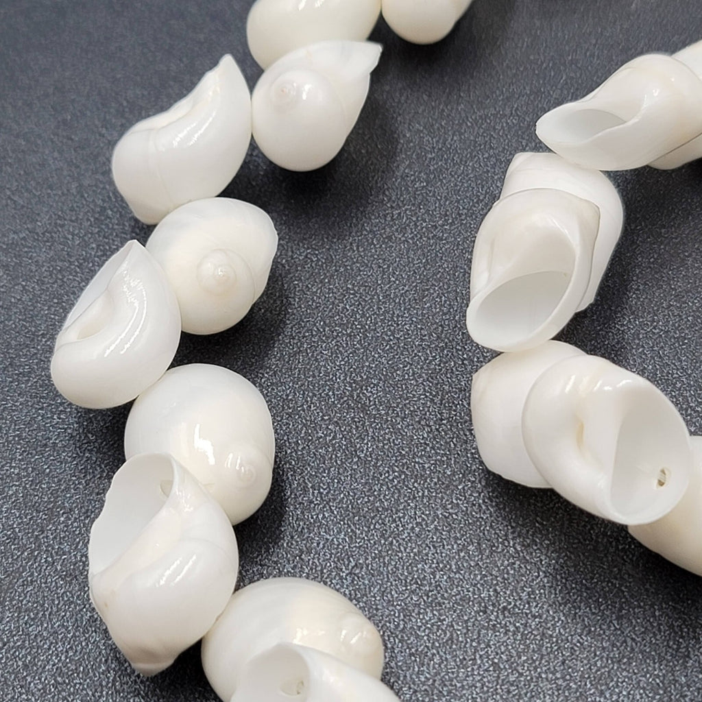 Vintage White Sea Shell Necklace Bracelet Clip Screw Back Earring Set
