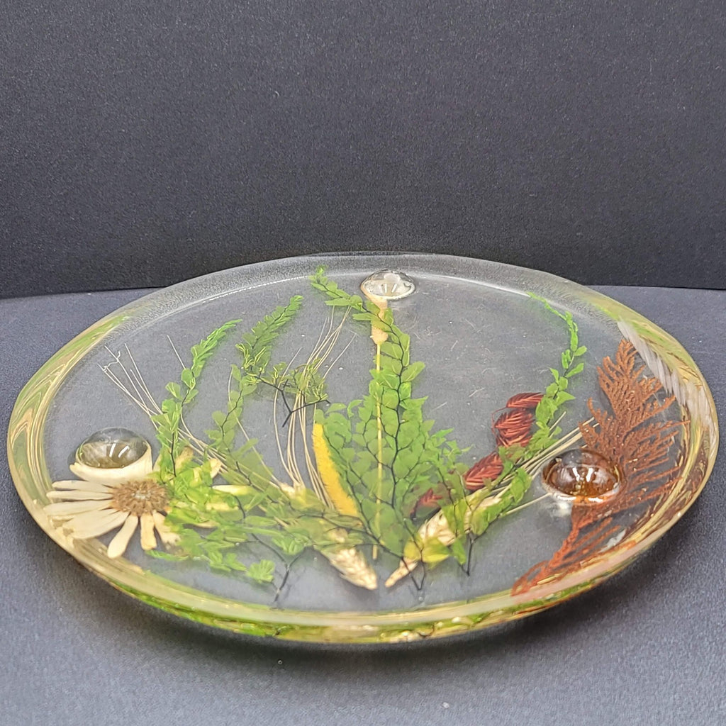 Vintage MCM Lucite Resin Dried Flower Round Footed Trivet 8 in